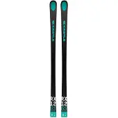 Kästle Rx12 Gs Masters S+plate 10mm Alpine Skis Vert 185