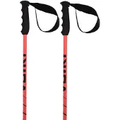 Völkl Speedstick Poles Noir 110 cm