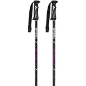 Gabel Speed Poles Argenté 110 cm