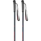 Atomic Pro Junior Poles Argenté 125 cm Enfants