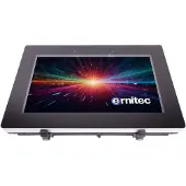 Ernitec Ecran PC 0070-24132-HB3000-L 32" 1920 x 1080 Full HD LCD