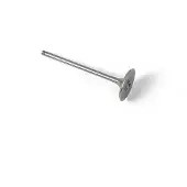 ProX 28.6419-1 Intake Valve Argenté