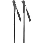 Rossignol Ft-501 Junior Poles Argenté 100 cm Enfants