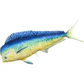 Gaby Le Coussin Géant Mahi Mahi