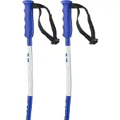 Salomon S/race Sg Junior Poles Bleu 90 cm Enfants