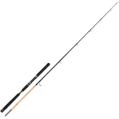 Hart Nation Popping Rod Argenté 2.36 m / 90-250 g