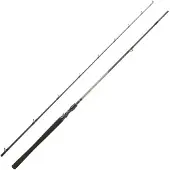 Daiwa Exceler Baitcasting Rod Argenté 1.98 m / 7-28 g