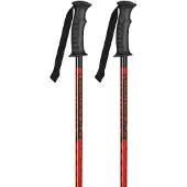 K2 France Speed Rental Poles Argenté 135 cm