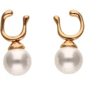 Gaya Boucles d'oreilles or / blanc perle