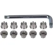 Fsa T30 E0024 Chainring Screw Set 10 Units Argenté