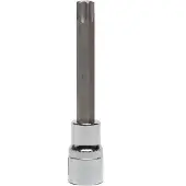 Proline ZR58544 foret