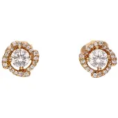 NAEMI Boucles d'oreilles or / transparent