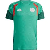 Adidas Algeria 26/27 Training Short Sleeve T-shirt Vert M / Regular Homme