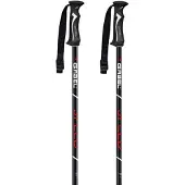 Gabel Spedd Poles Argenté 115 cm