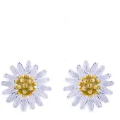Luxenter Boucles D'oreilles En Argent 925 Luxenter Essential
