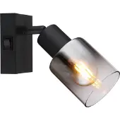 Globo Lampe spot avec interrupteur HUBERTUS 54308-1