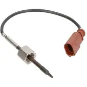 Delphi Palpeur, température des gaz TS30262