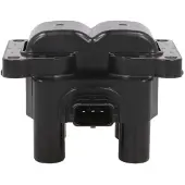 Delphi Bobine d'allumage GN10365-12B1