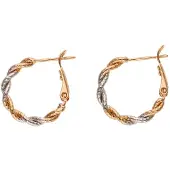 NAEMI Boucles d'oreilles or / argent