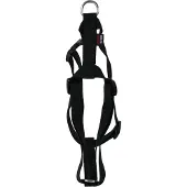 Martin Dog Schaden Basic Nylon Black