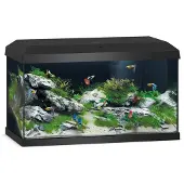 Juwel Aquarium Primo - Noir - 57 L