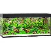 Juwel Aquarium Rio 240 avec éclairage LED, pompe, filtre, chauffage sans meuble noir