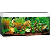 Juwel Aquarium Rio 180 avec éclairage LED, pompe, filtre, chauffage sans meuble blanc