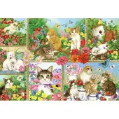Bluebird Puzzle Chats et chatons - Puzzle 1000 pièces