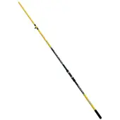 LINEAEFFE Canne à Surfcasting Vigor Beacher 2