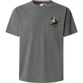 Pepe Jeans Shad Short Sleeve T-shirt Gris L Homme