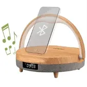 KIENZLE Alarm Clock Doré One Size / EU Plug 220V