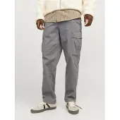 Jack & Jones Pantalon cargo 'JJKarl Harlow' | 33x34 | male