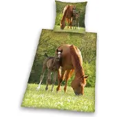 MCU Cheval et poulain (135 x 200 cm, 80 x 80 cm)