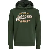 Jack & Jones Logo 2 Plus Size Hoodie Vert 3XL Homme