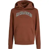 Jack & Jones Caleb Varsity Hoodie Marron 16 Years Garçon