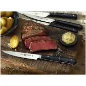 Zwilling Set de couteaux à steak 4 pièces 1003027 STEAK-SET