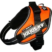 JULIUS K-9 Idc Power Mini Dog Harness Jaune Mini