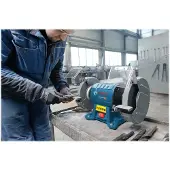 Bosch Powertools Touret à meuler GBG 60-20 Ø200mm 600 W - - 060127A400