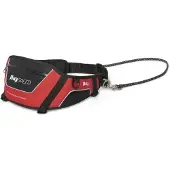 JULIUS K-9 Canicros Belt Rouge