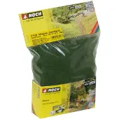 Noch Herbe sauvage 07106 Vert foncé