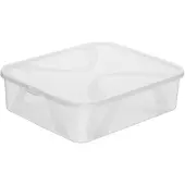 Rotho Stockage Boxlona (12 l, 1x, 42 x 35.10 x 11.20 cm)