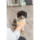 Trixie Chewy Cheese - L