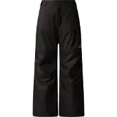 The North Face Pantalon de sport 'FREEDOM'