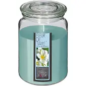 Atmosphera Bougie Parfumée Fleur de tiaré Pot en verre 510 G