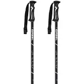 Gabel Speed Poles Argenté 110 cm