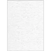 Sigel Document de structure (A4, 100 feuilles, 90 g/m²)