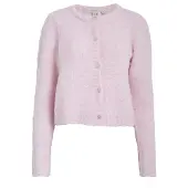 Peppercorn Cardigan 'Liss Cardigan' rose