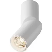 Maytoni Dafne LED Plafonnier, lampe de plafond 10W Blanc 3000K 90Ra Blanc chaud (800 lm)