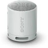 Sony SRS-XB100 Gris