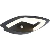 Paulmann Applique murale d'extérieur LED Akena Détecteur de mouvement àcrépusculaire (IR)